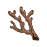 Branch